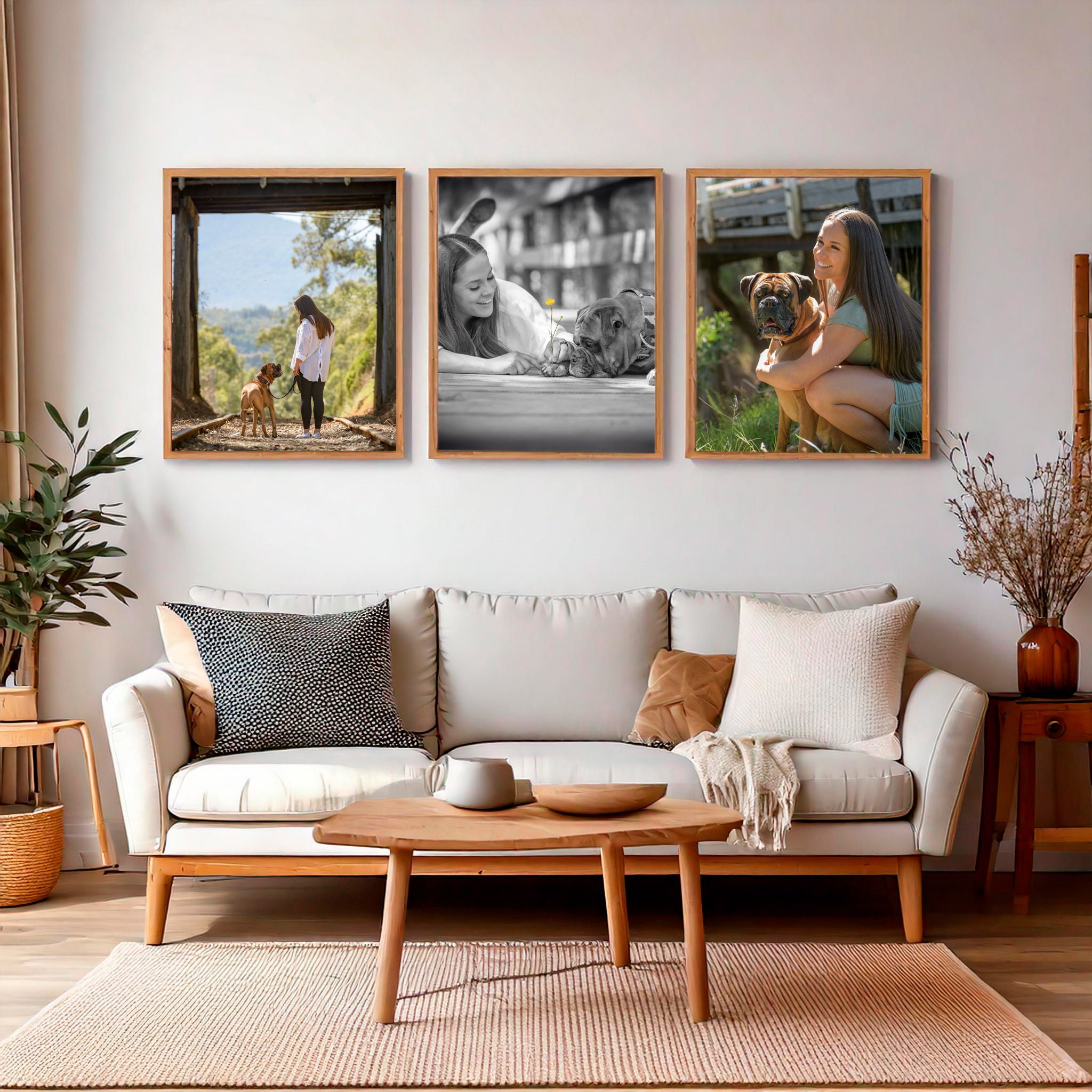 A three-piece family and pet portrait collection displayed above a living room sofa