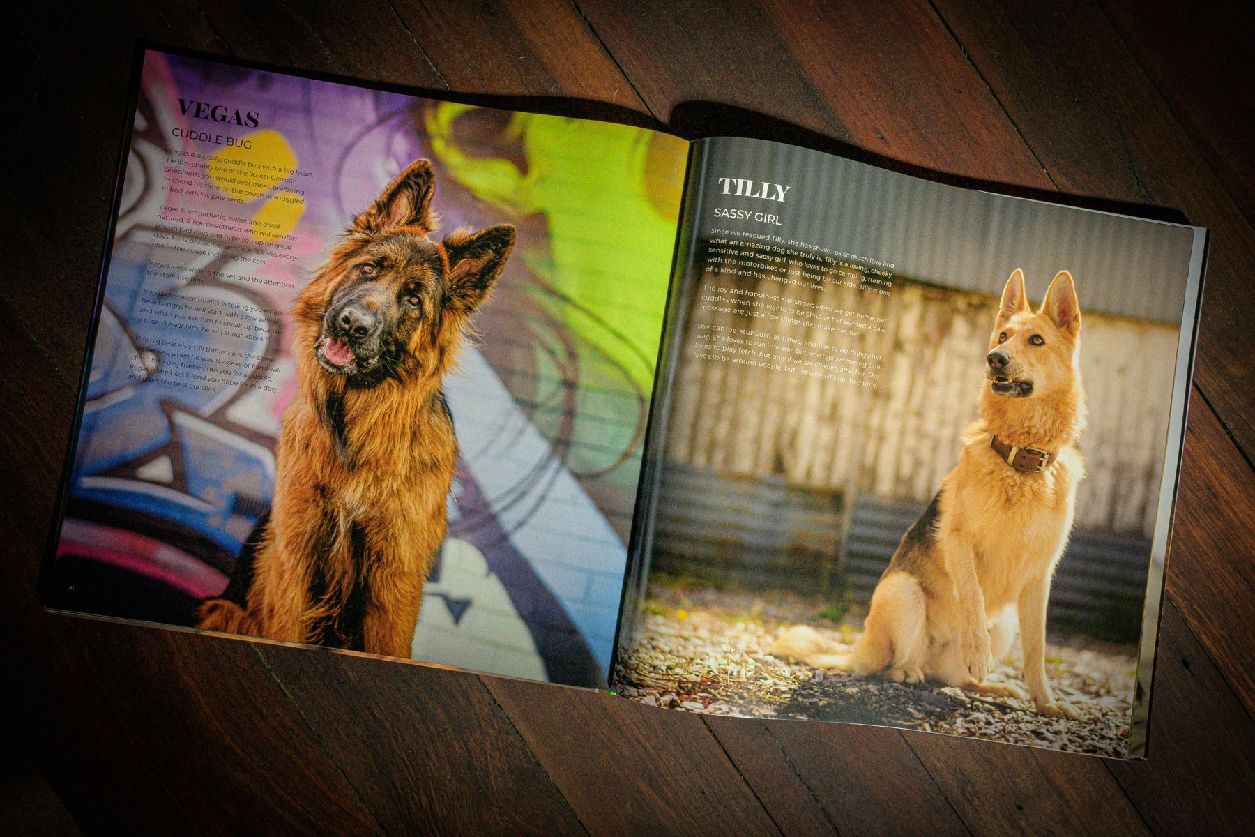 An open spread of the German Shepherds of Australia book