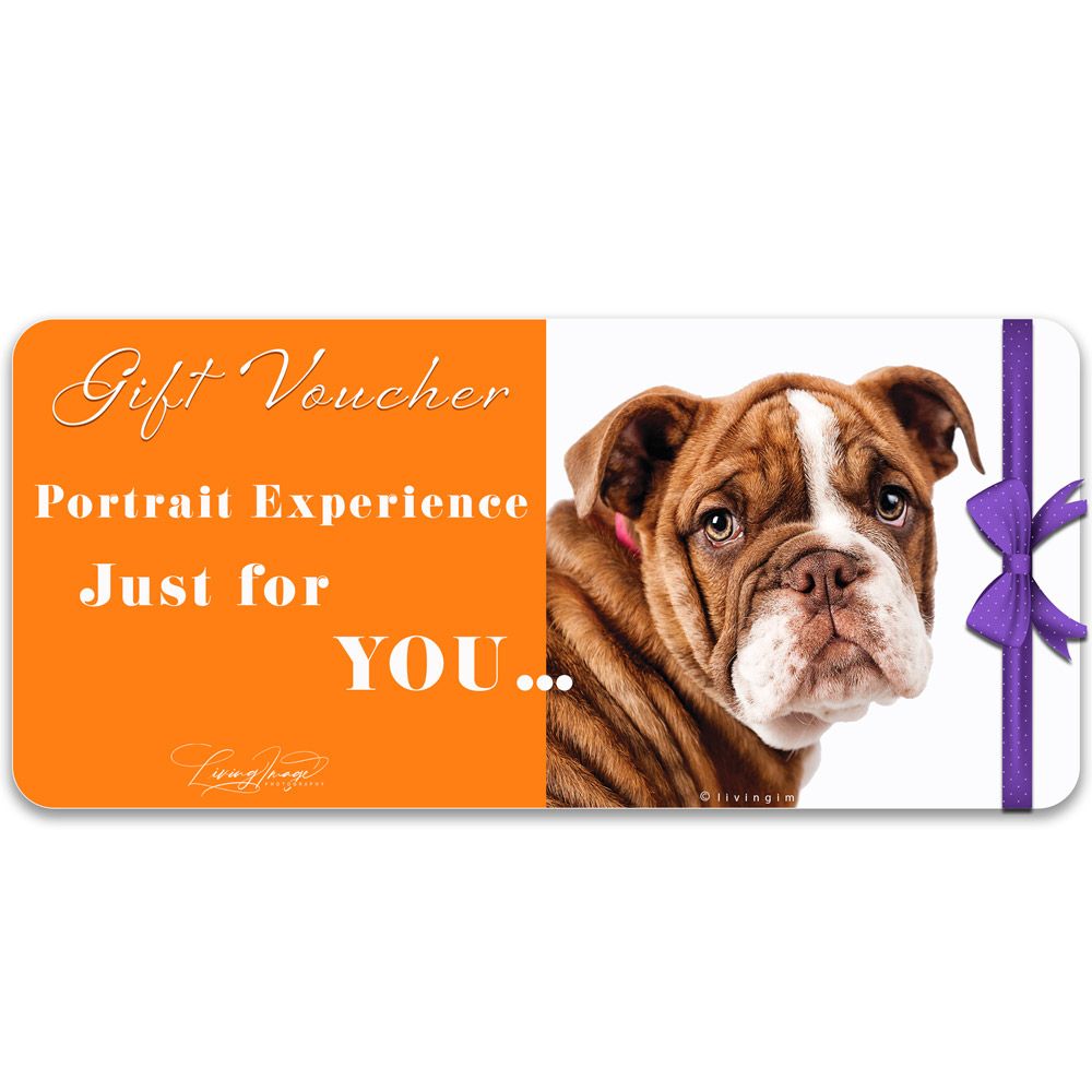 Pet portrait gift voucher