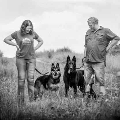 dogs-couple-portrait