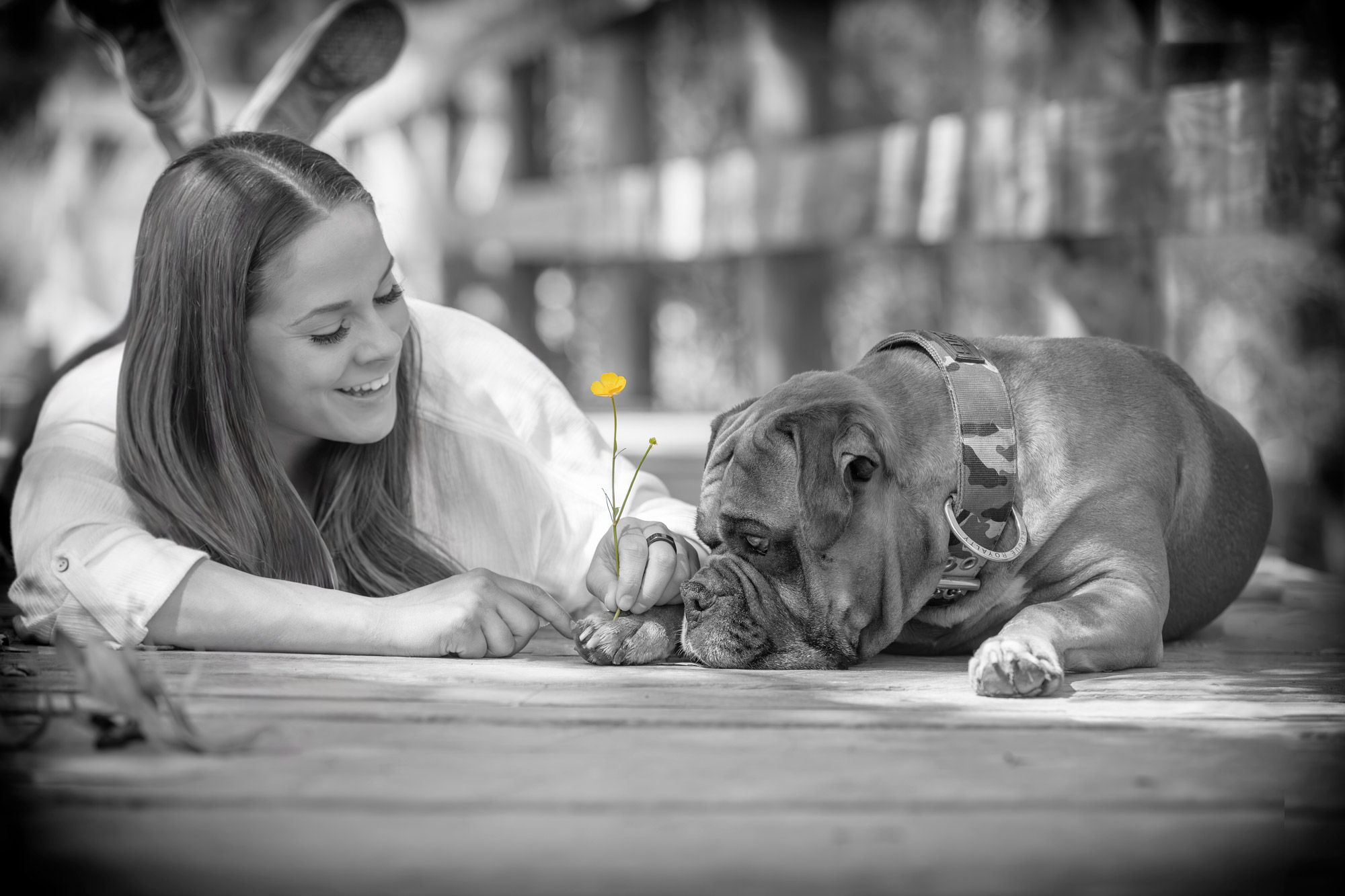 mother-dog-portrait