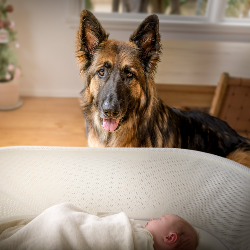 dog-baby-portrait